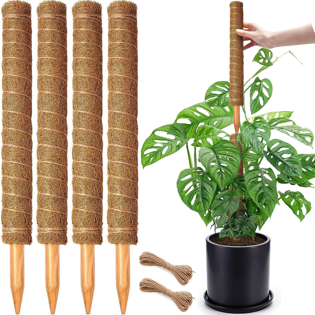 CHIAFFI 4 Pack 18 Inch Moss Poles front view with jute rope