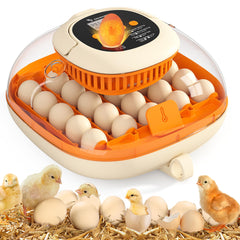Chickcozy 25 Egg Incubator in Sunlit Orange front view