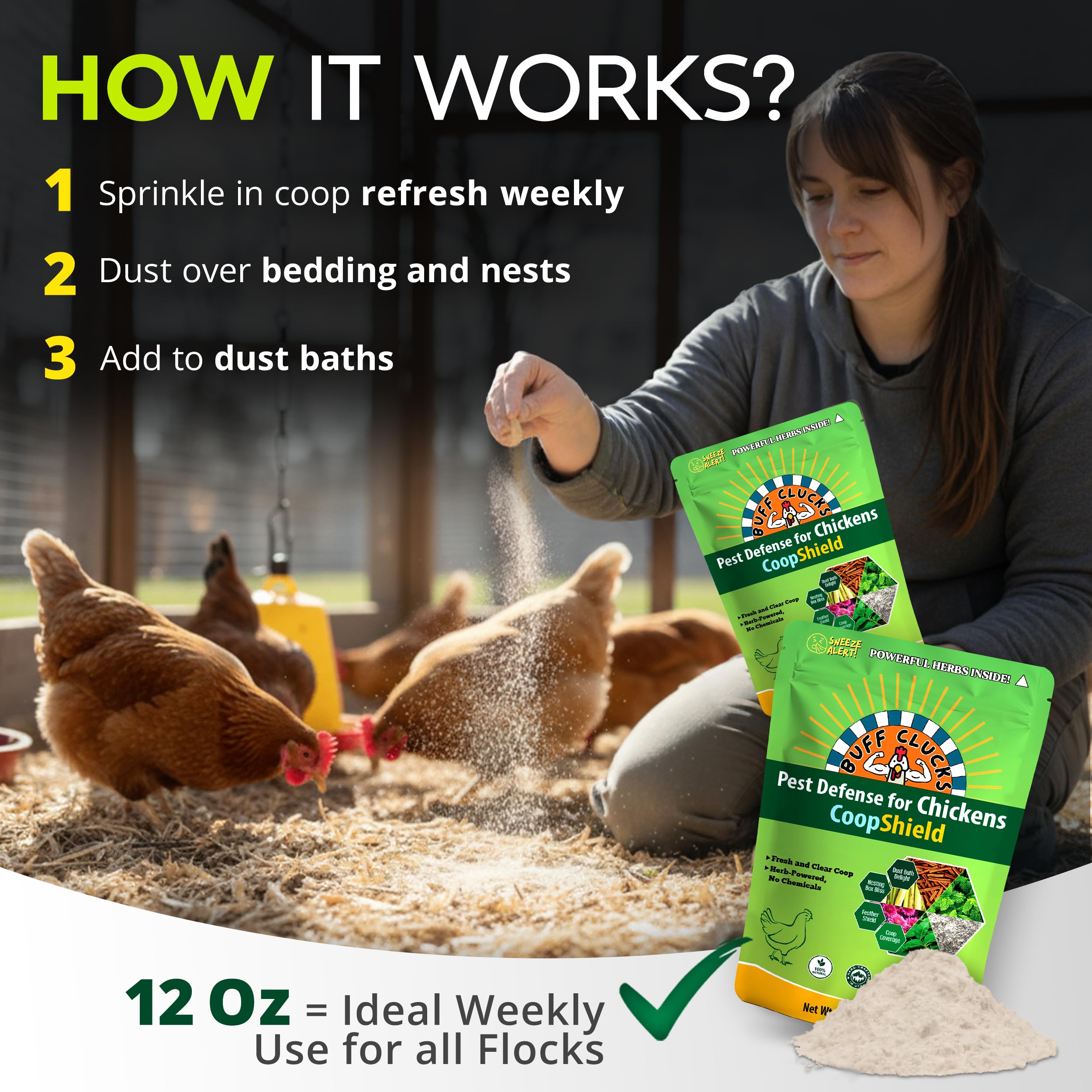 Chickens enjoying Buff Clucks Dust Bath in nesting box