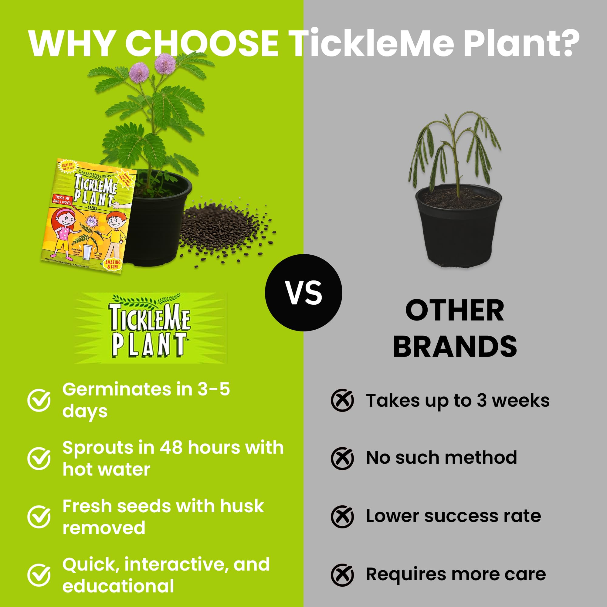 Child interacting with TickleMe Plant in a fun indoor garden