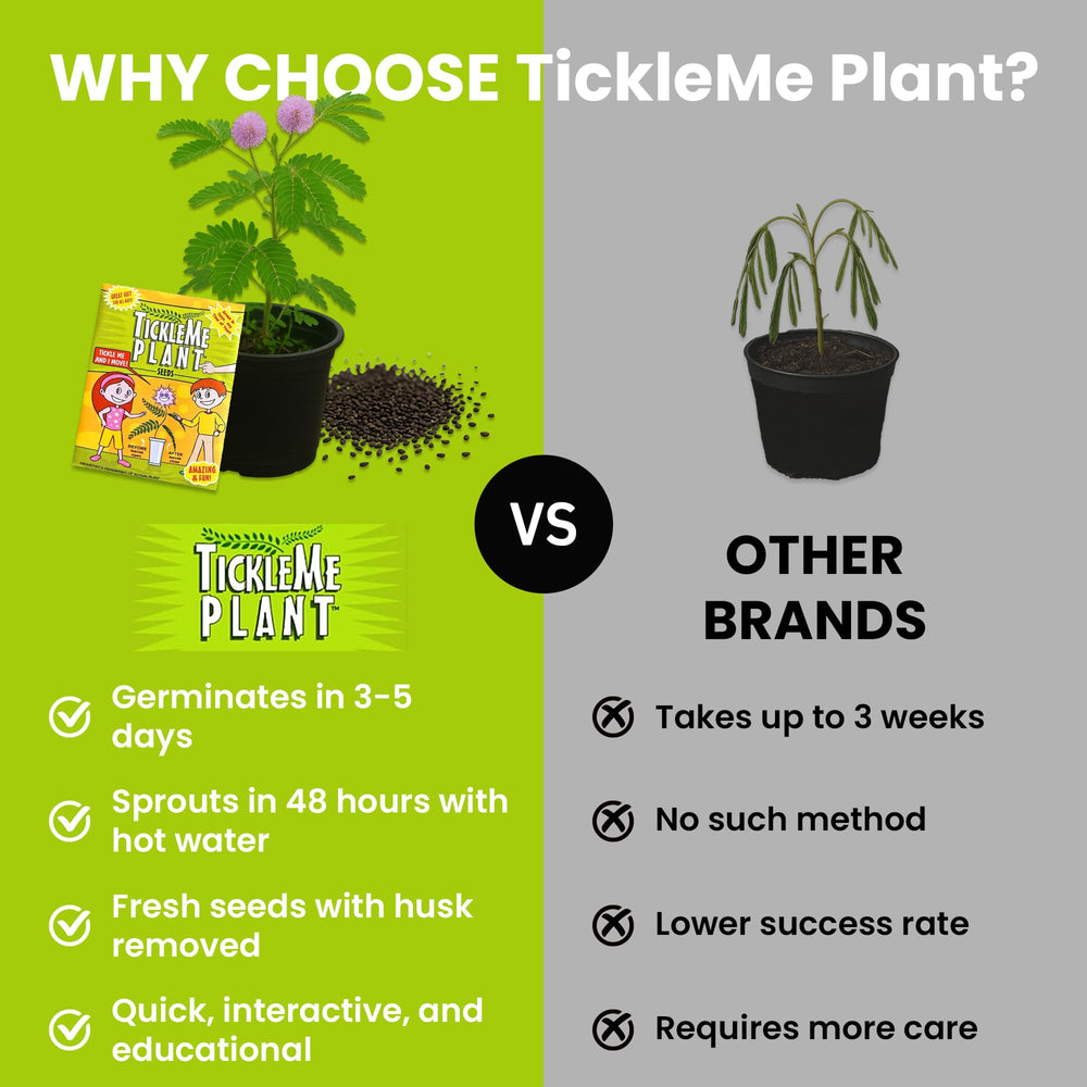 Child interacting with TickleMe Plant in a fun indoor garden