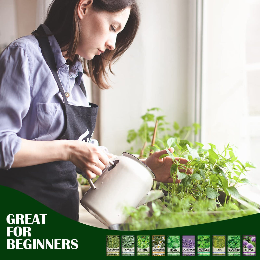 Chives seed packet from Meekear Herb Growing Kit