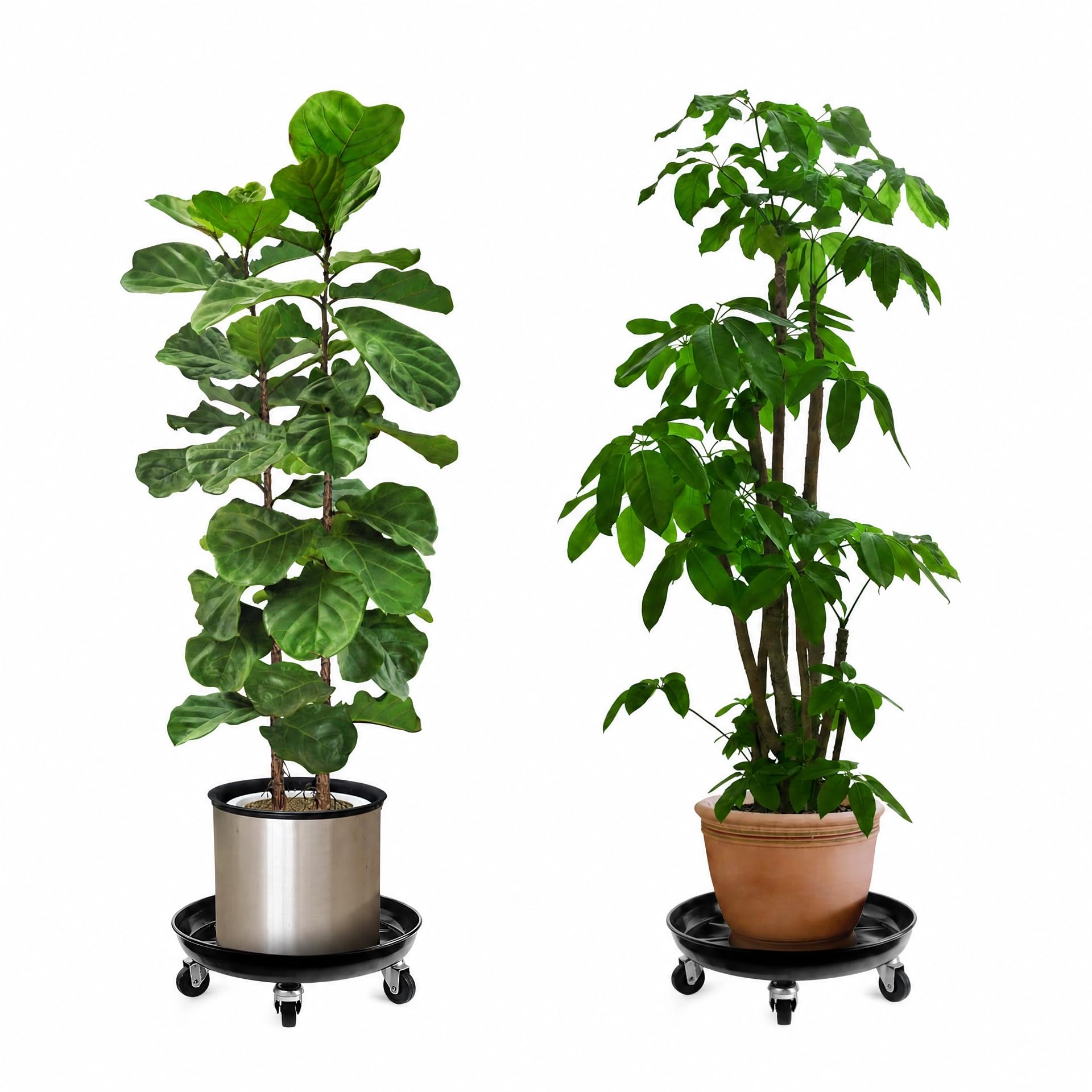 Choclaif Plant Caddy from above with a pot on it