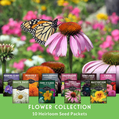 Chocolate Cherry Sunflower from SURVIVAL GARDEN SEEDS collection