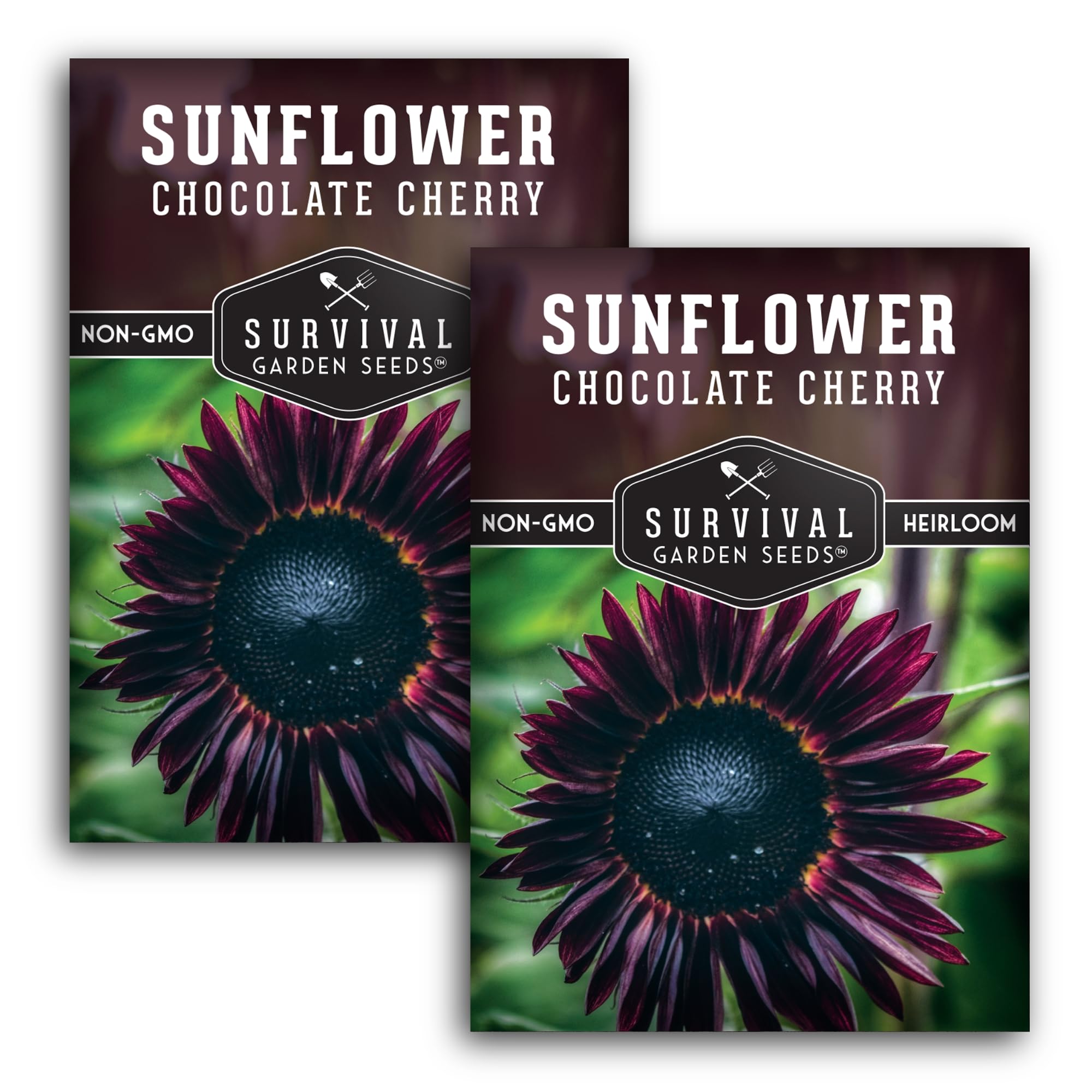 Chocolate Cherry Sunflower Seeds packet front view