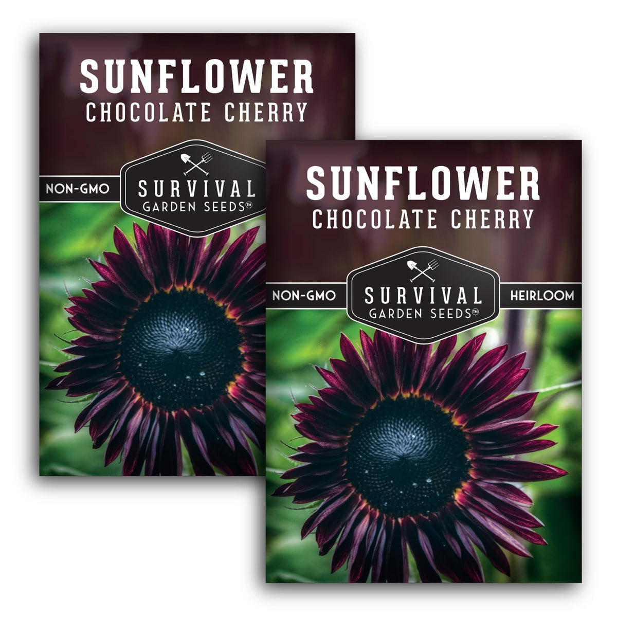 Chocolate Cherry Sunflower Seeds packet front view