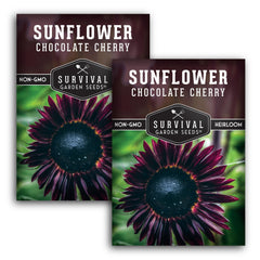 Chocolate Cherry Sunflower Seeds packet front view