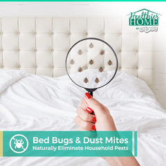 CHOMP! Bed Bug Repellent aerosol can with peppermint scent