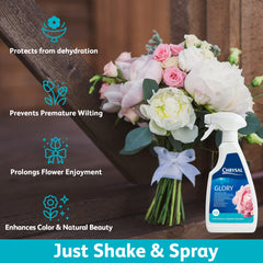 Chrysal Glory Flower Finish Spray in use on flowers