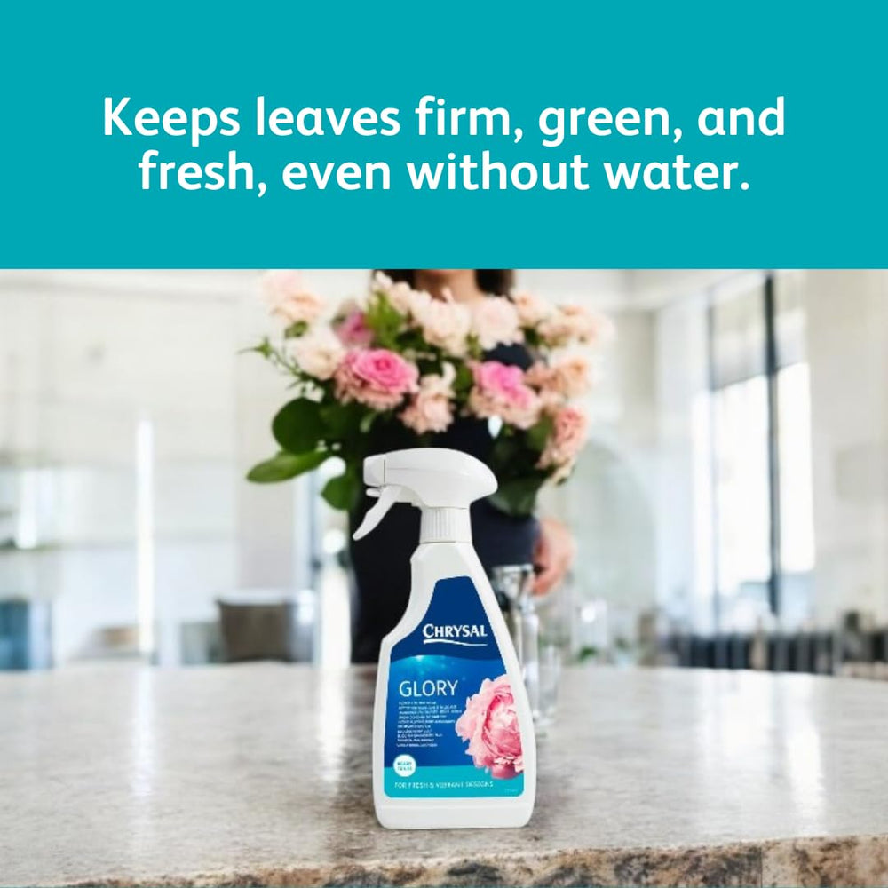 Chrysal Glory Flower Finish Spray spray bottle top view