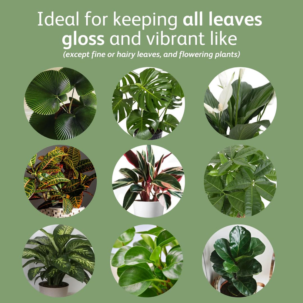 Chrysal Leaf Shine Spray 25 oz nozzle close-up