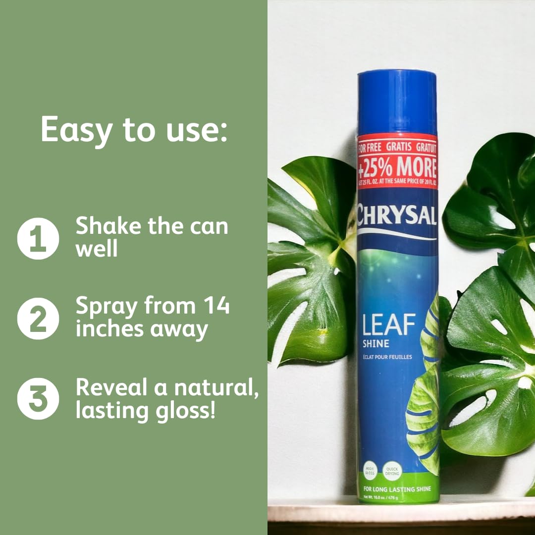 Chrysal Leaf Shine Spray application on houseplants