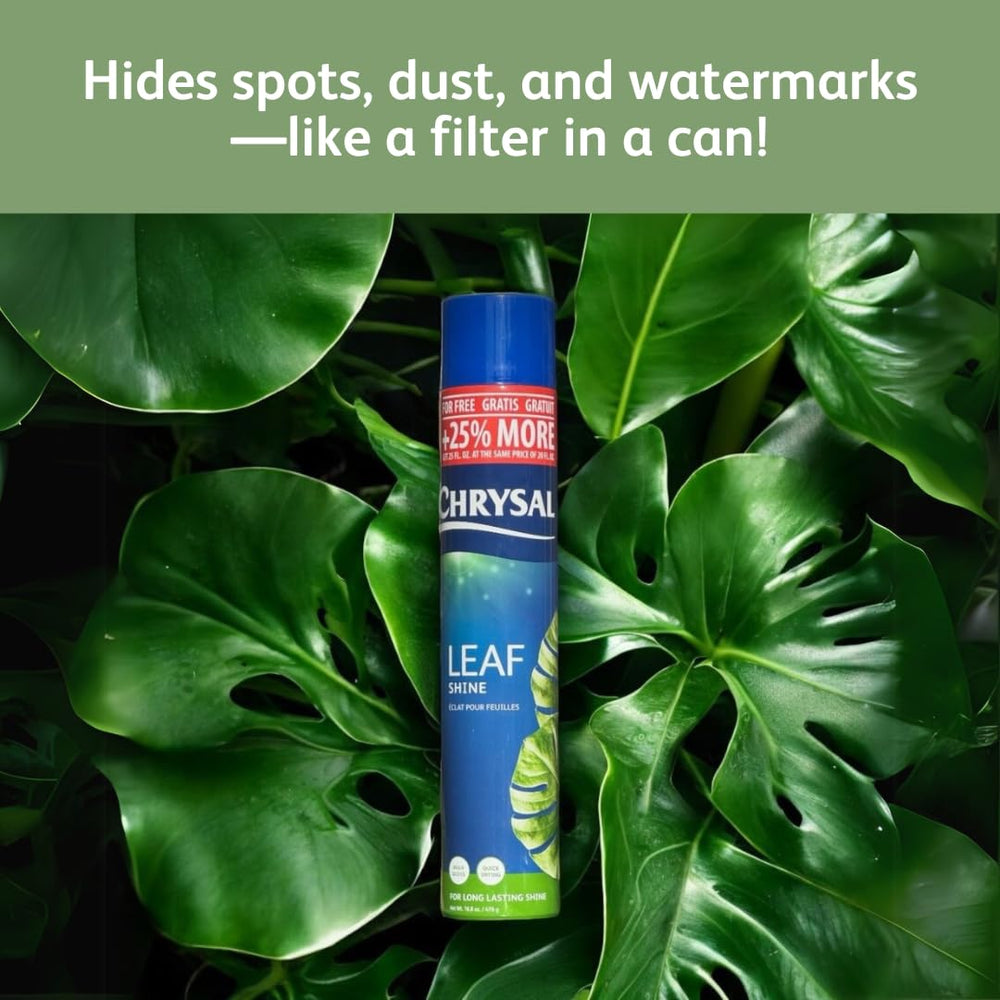 Chrysal Leaf Shine Spray in a home setting with plants