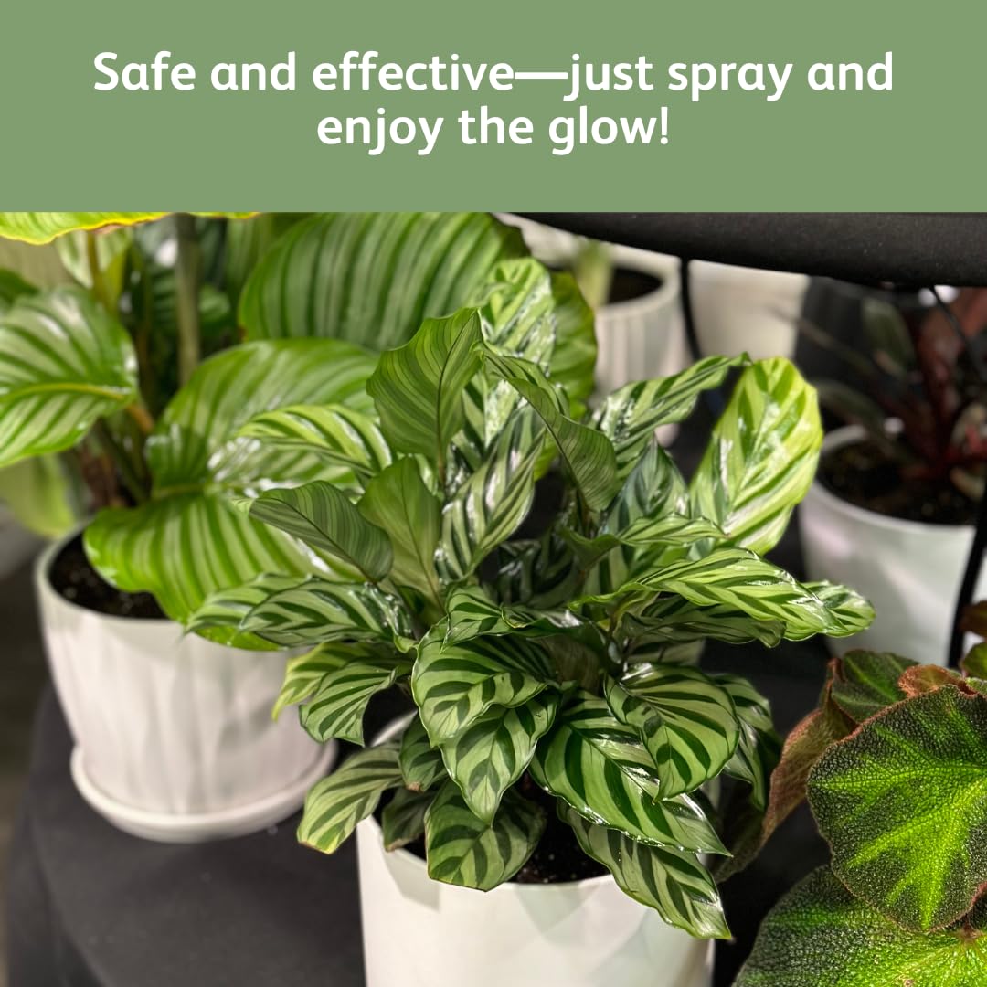 Chrysal Leaf Shine Spray label close-up