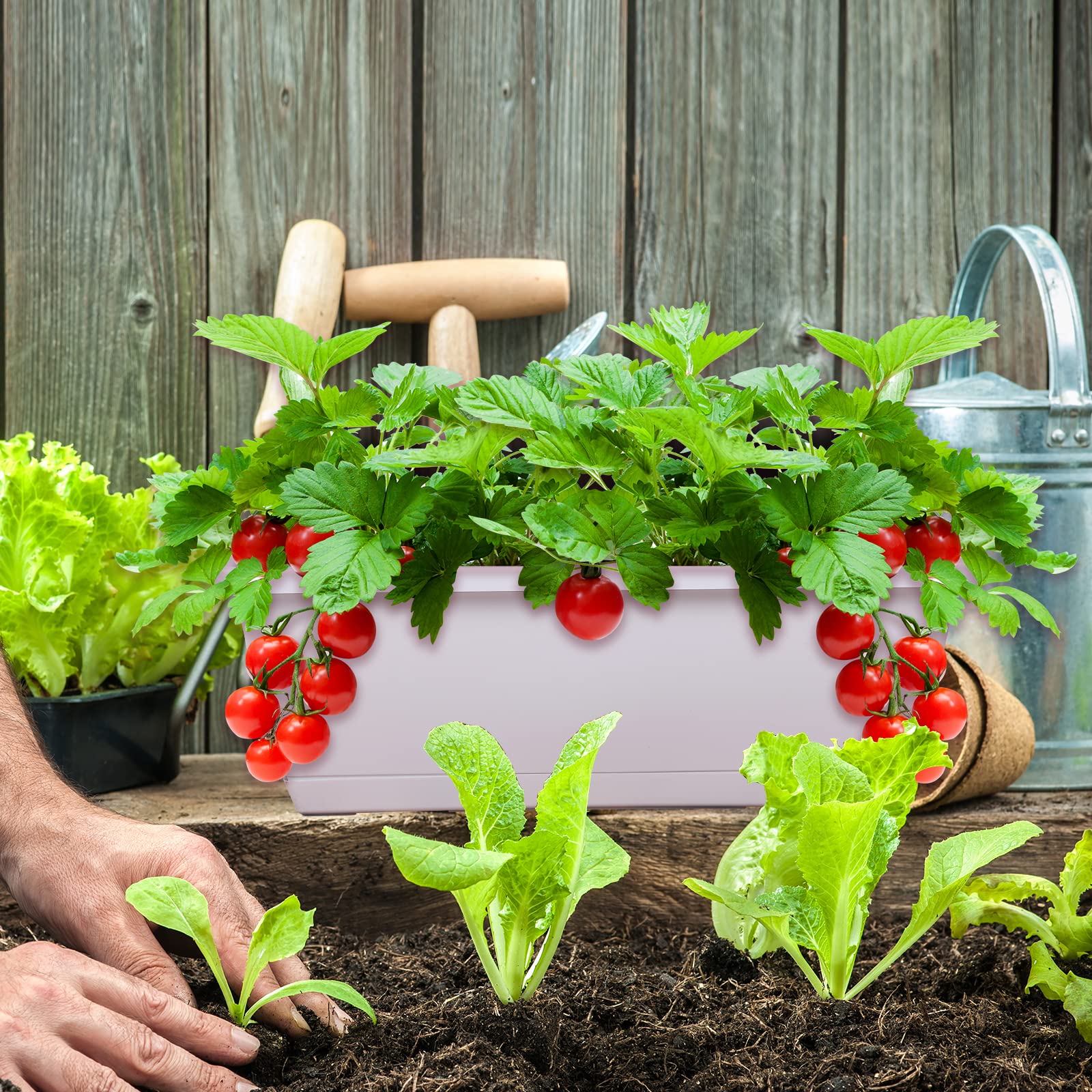 CHUKEMAOYI planters on a table with herbs