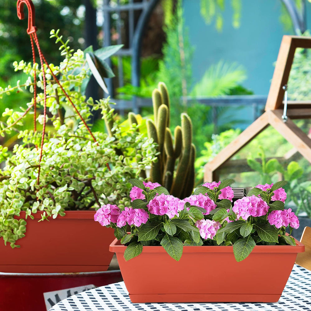CHUKEMAOYI Window Box Planter showcasing multiple plants inside