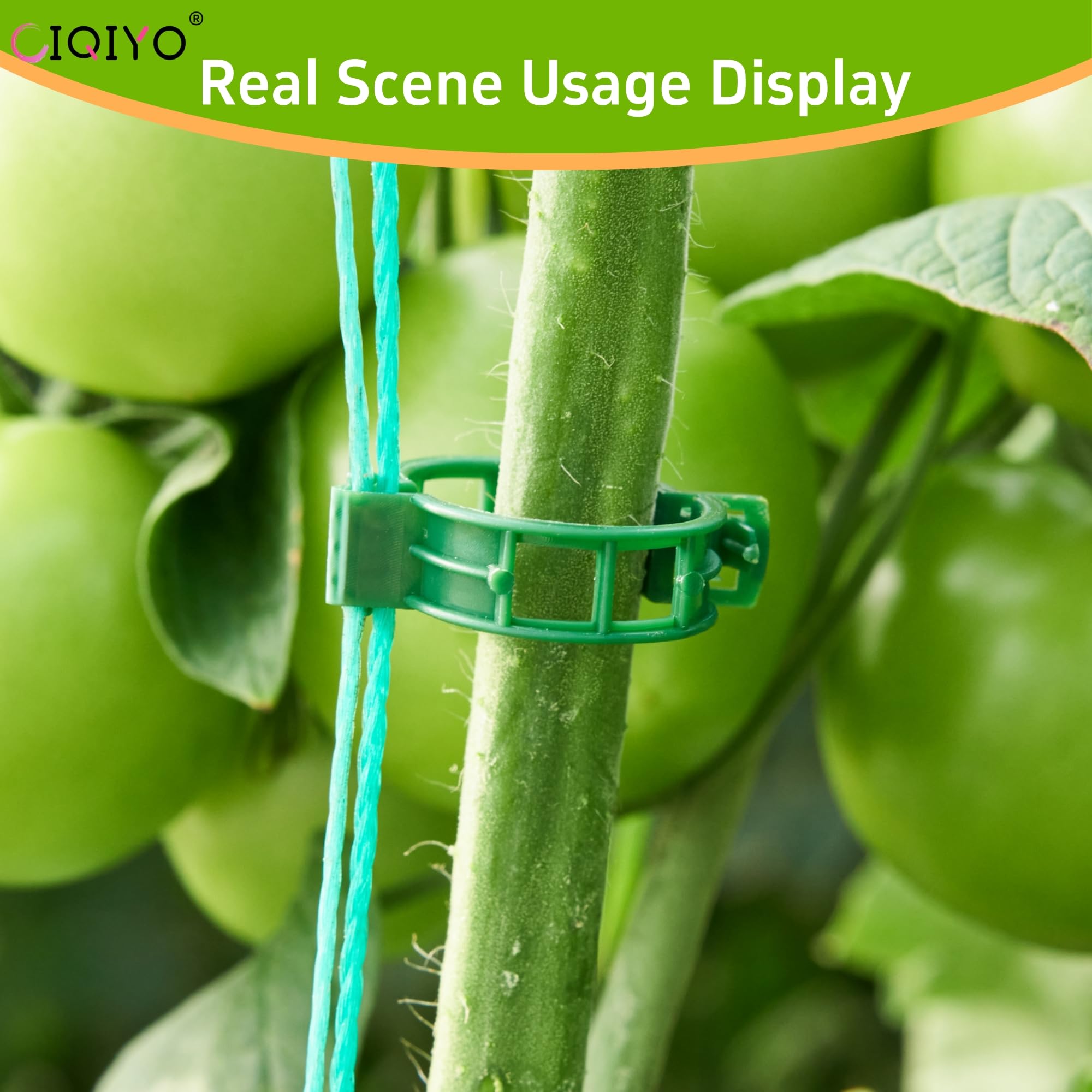 CIQIYO clips holding climbing flowers securely