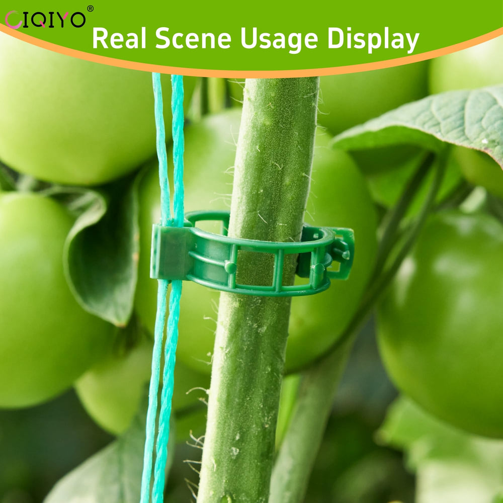 CIQIYO clips holding climbing flowers securely