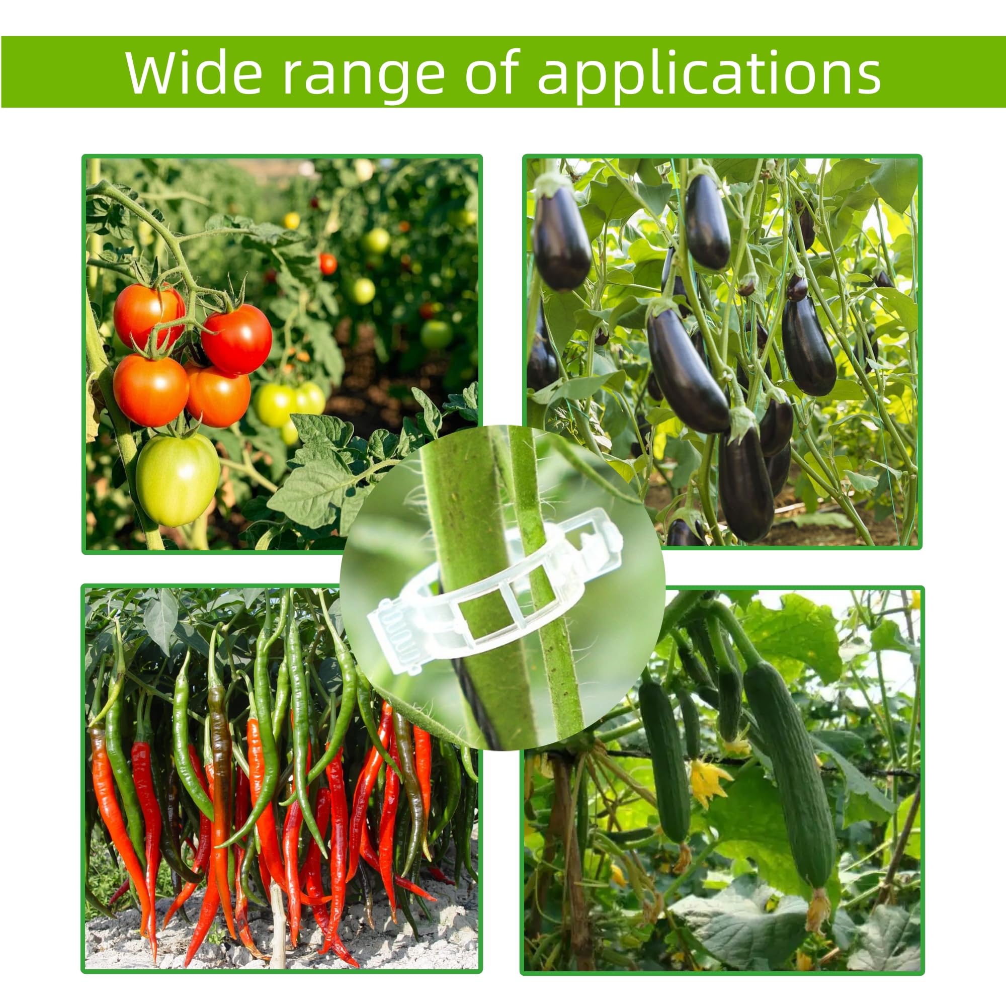 CIQIYO clips in action supporting cucumber plants