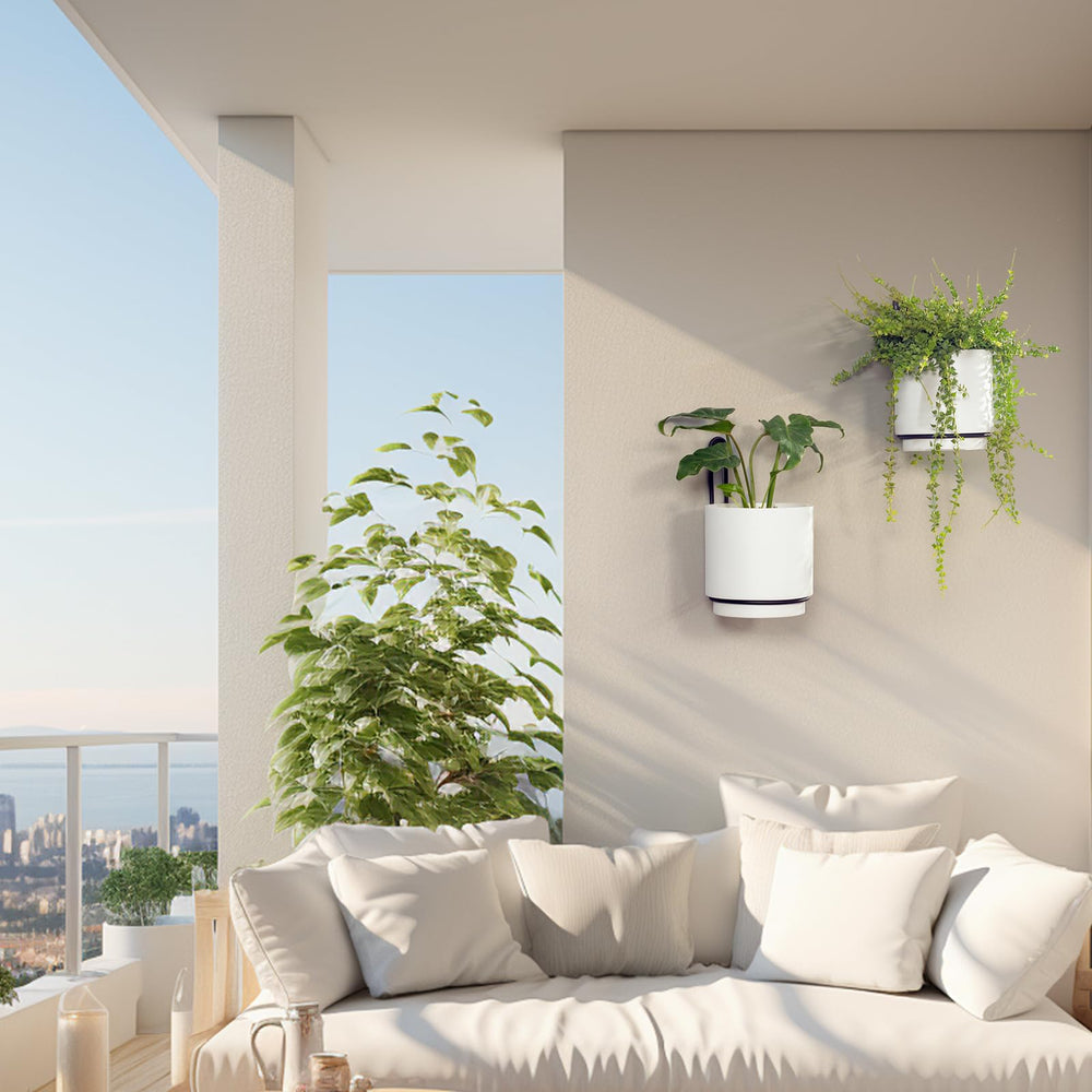 CISEANOL Hanging Planters mounted on wall in home setting