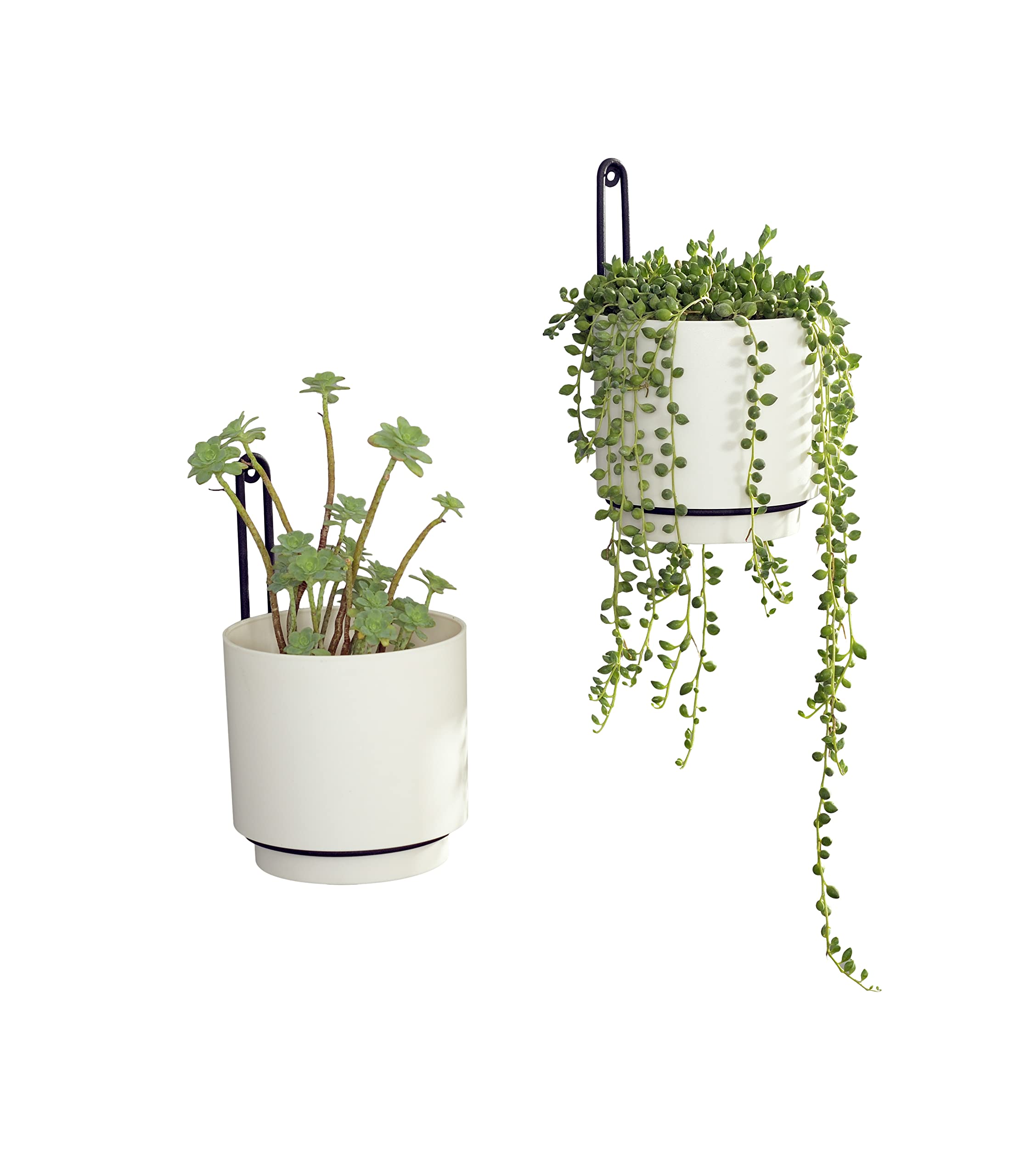 CISEANOL Hanging Planters with vibrant plants displayed