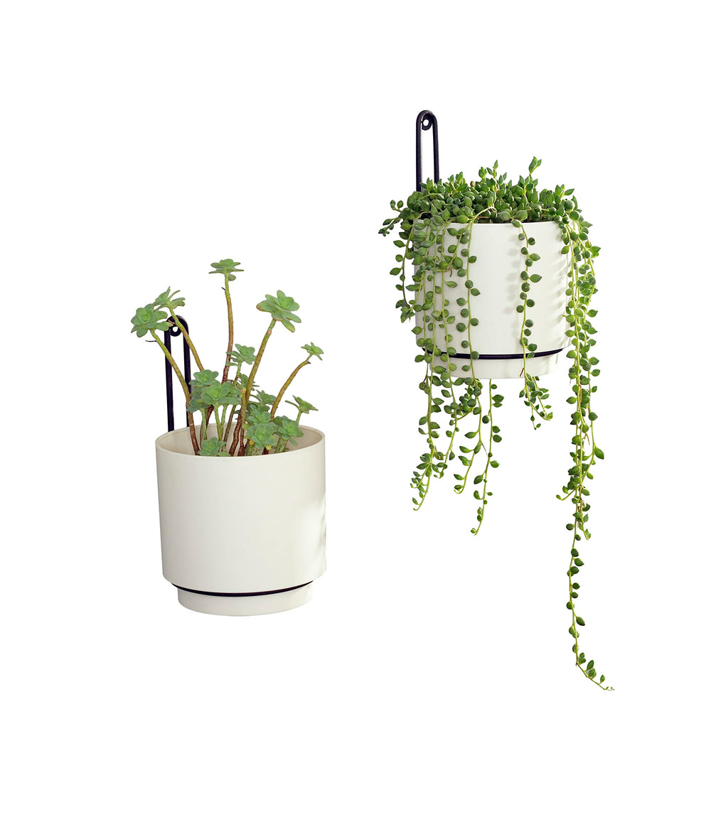 CISEANOL Hanging Planters with vibrant plants displayed