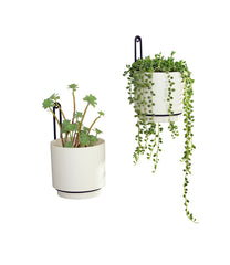 CISEANOL Hanging Planters with vibrant plants displayed