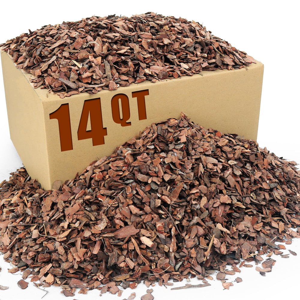 CJGQ 14qt Organic Orchid Potting Bark front view in packaging
