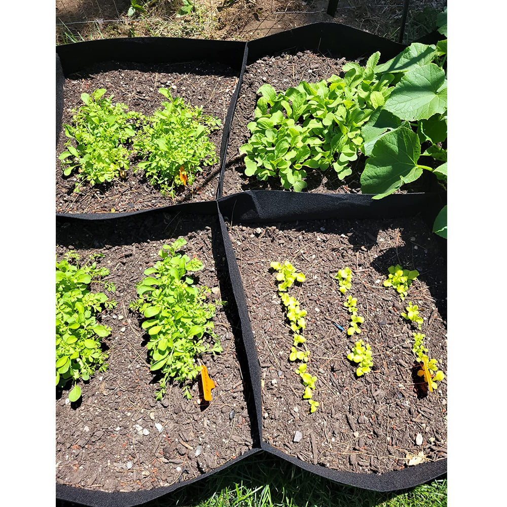 CJGQ 3x6FT garden bed with vibrant flowers planted
