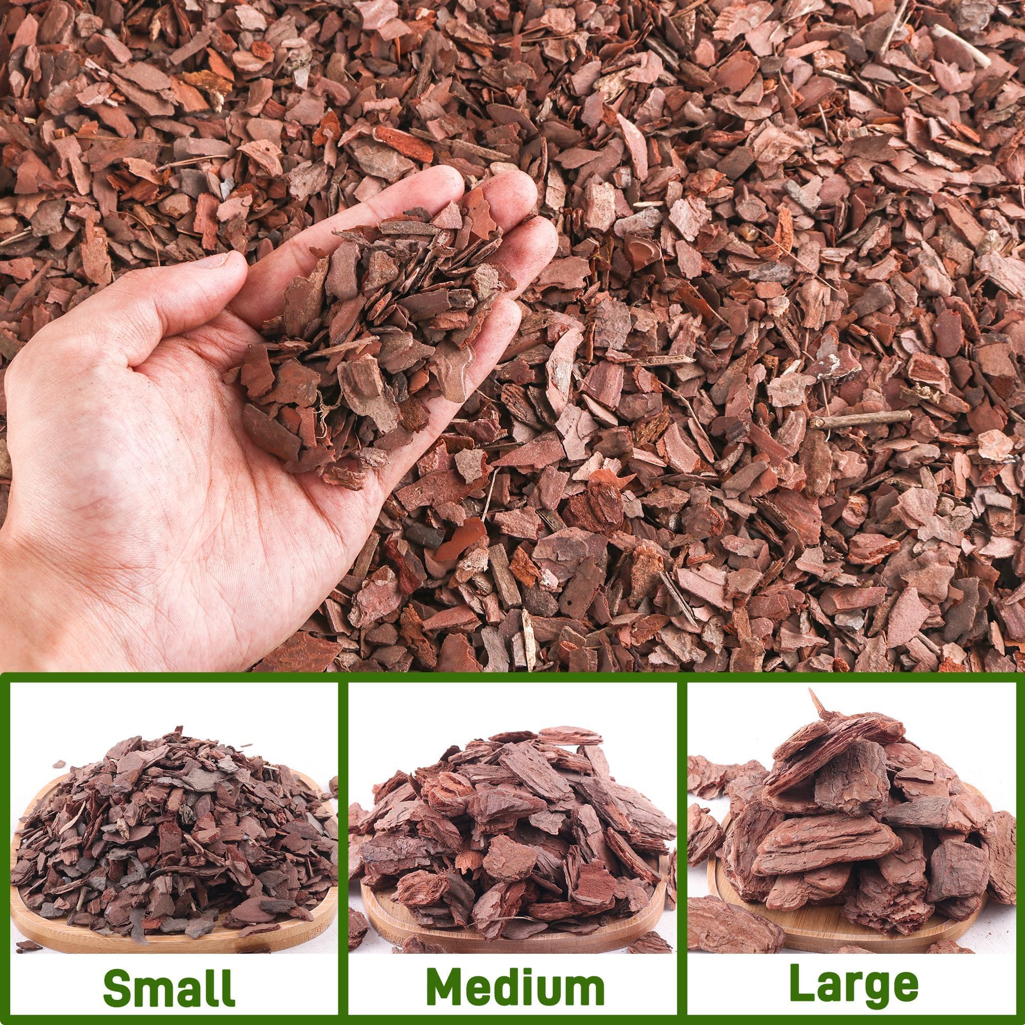 CJGQ 6qt Organic Orchid Potting Bark in use with orchids