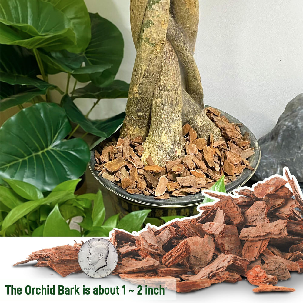 CJGQ 9 Quart Organic Orchid Bark bag opened showing contents