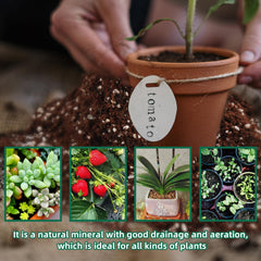 CJGQ Expanded Perlite in a gardening setup