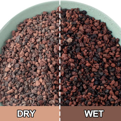 CJGQ Mix Lava Rocks in a decorative terrarium