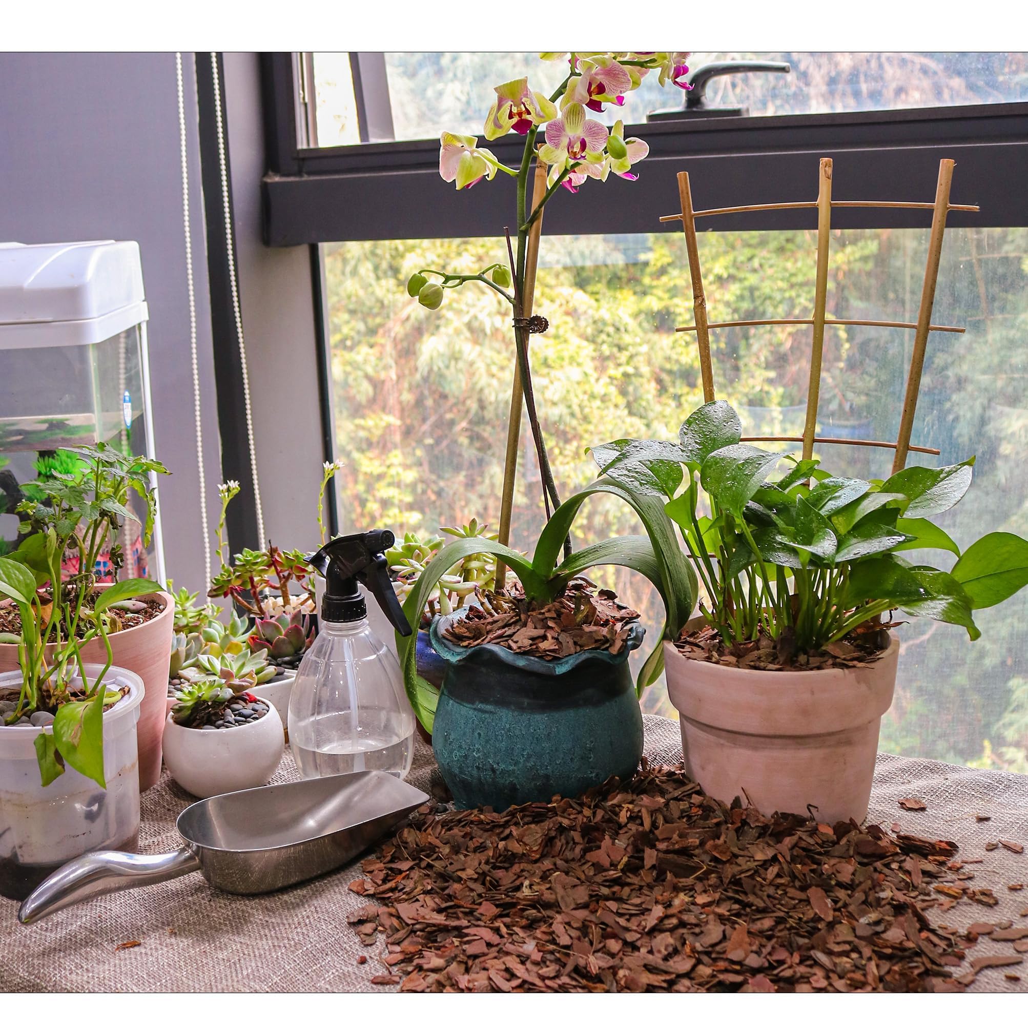 CJGQ Organic Orchid Bark in a garden setting