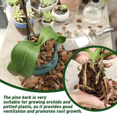 CJGQ Organic Orchid Bark packaging