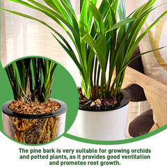 CJGQ Organic Orchid Potting Bark in packaging