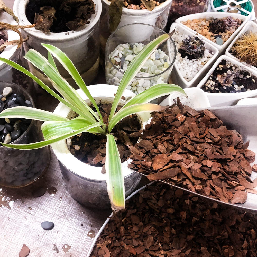CJGQ Organic Potting Bark in a garden tool shed