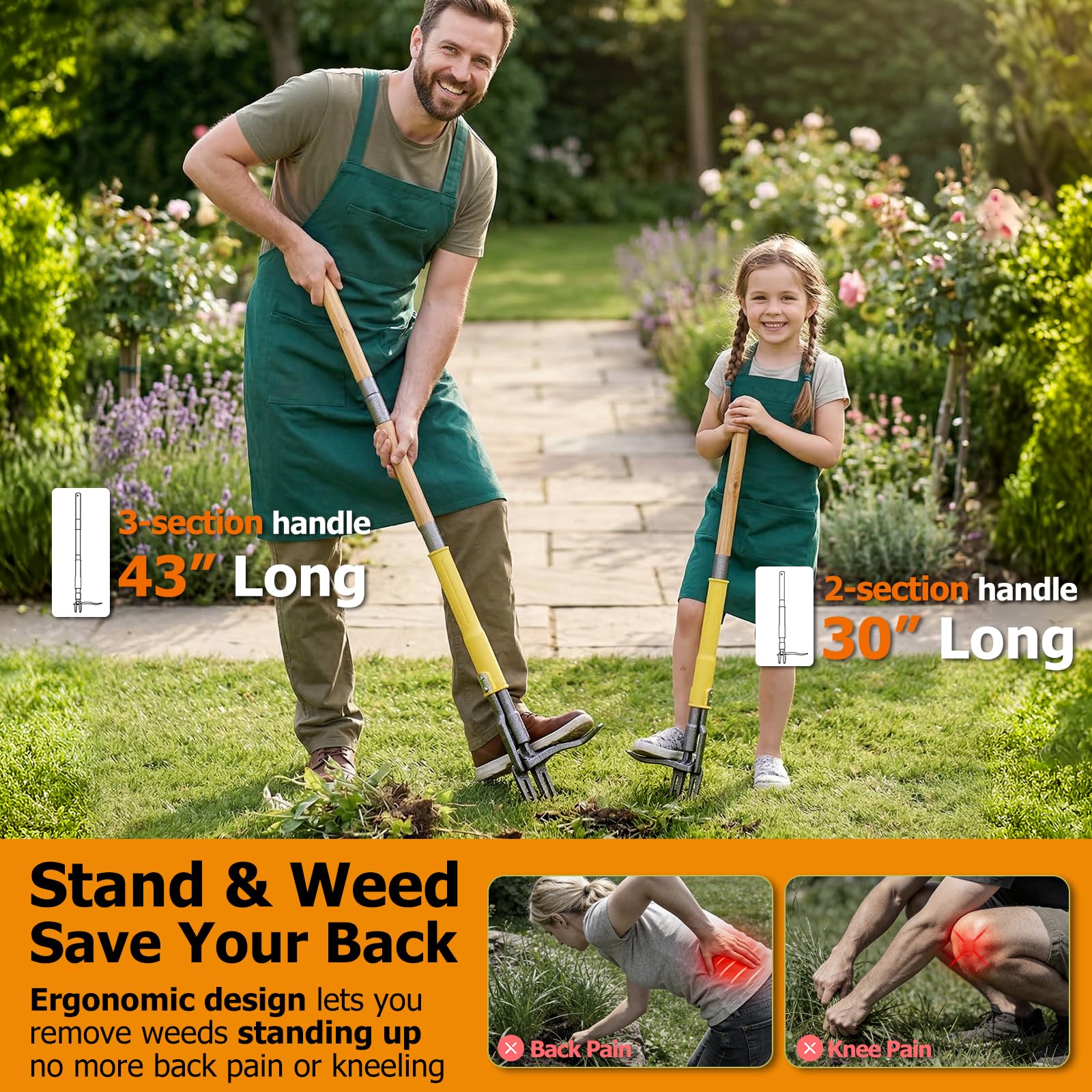 CJYMMFAN Stand Up Weed Puller Tool being used on dandelions