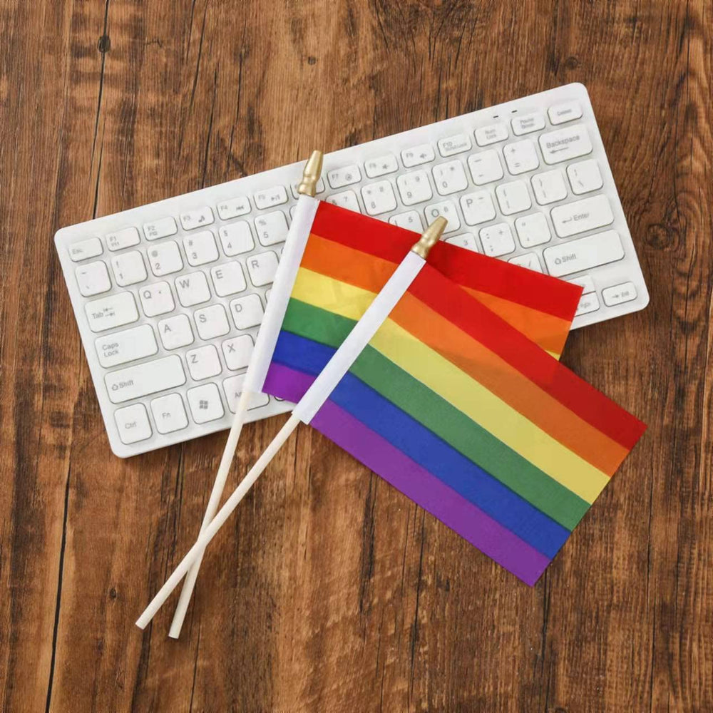 Ckexin 12 Pack Pride Rainbow Flags packaging front view