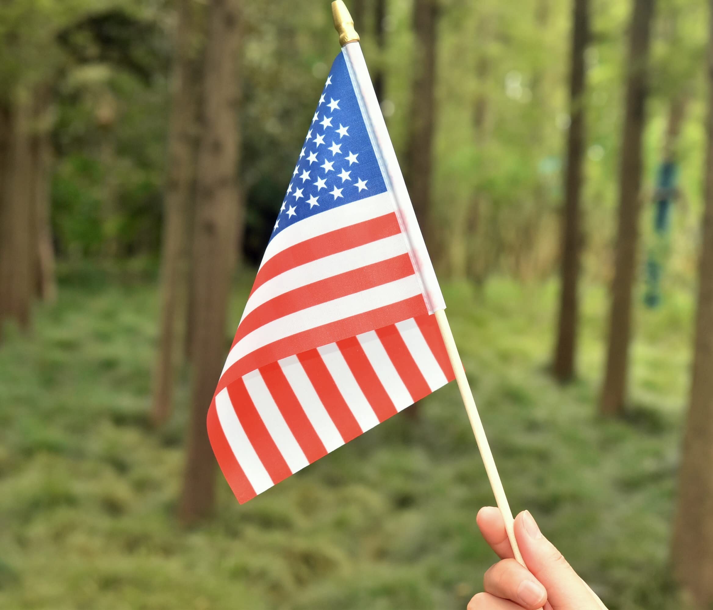 Ckexin Mini American Flags pack of 25 with packaging