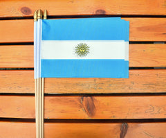 Ckexin Mini Argentina Flag close-up detail