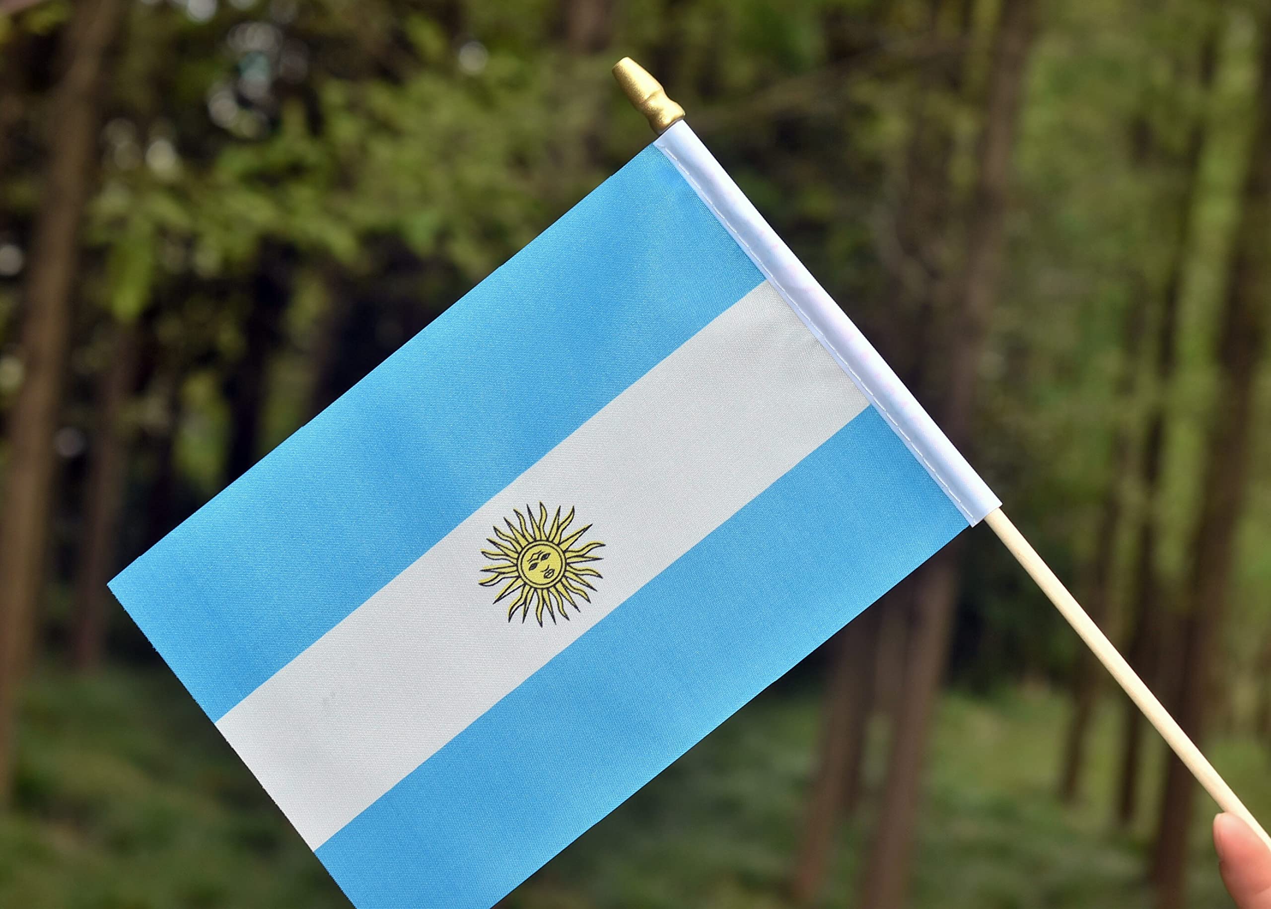 Ckexin Mini Argentina Flag displayed in garden