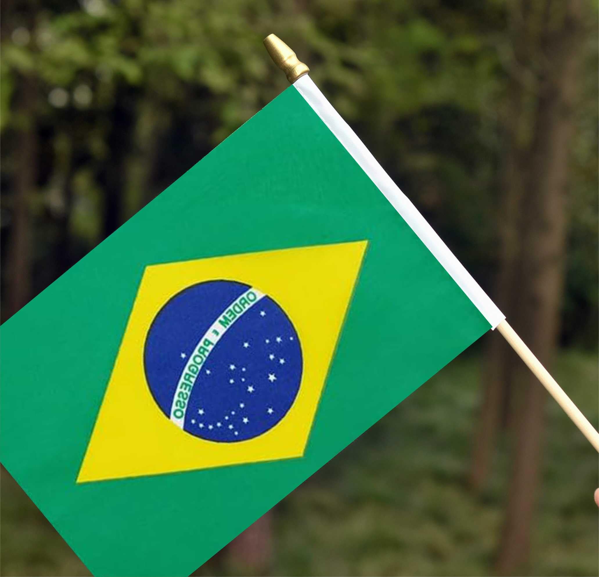 Ckexin Mini Brazilian Flag with vibrant colours