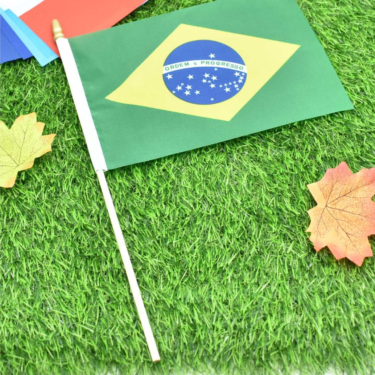 Ckexin Mini Brazilian Flags displayed at an event