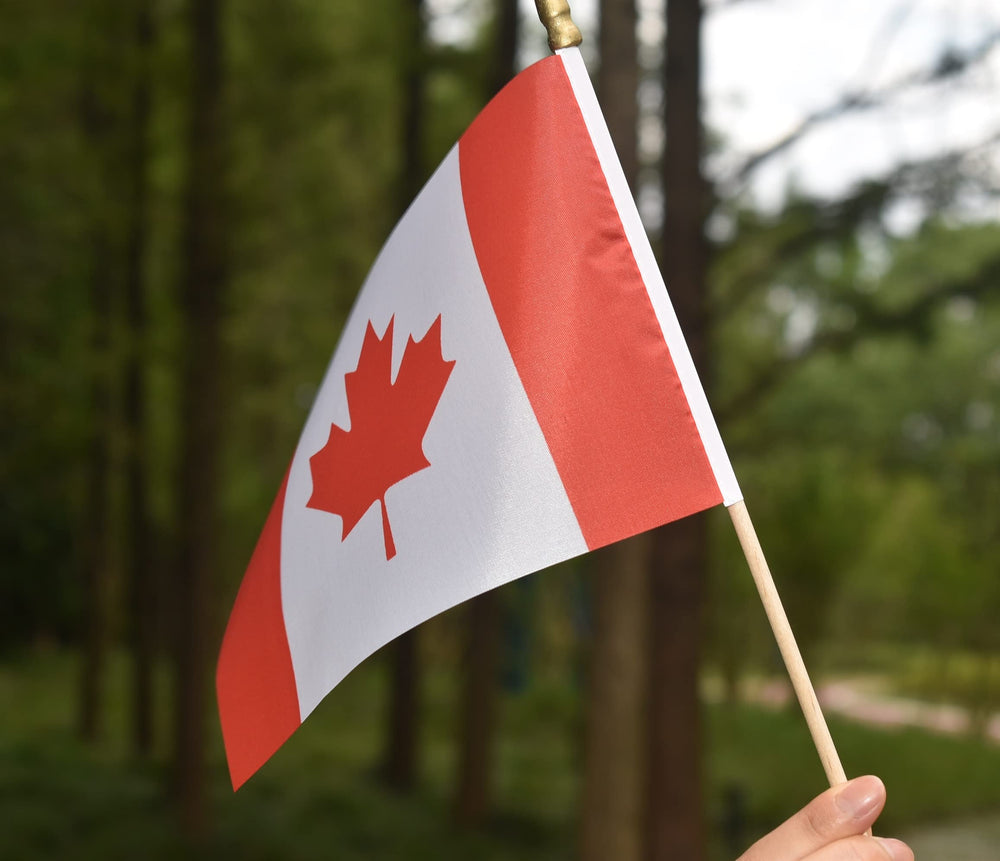 Ckexin mini Canadian flags assembled on display