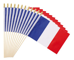 Ckexin Mini French Flag 5x8 inch with pole