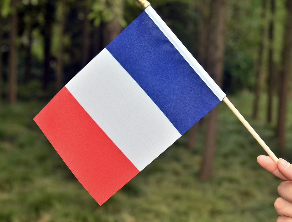 Ckexin Mini French Flag assembled on stick