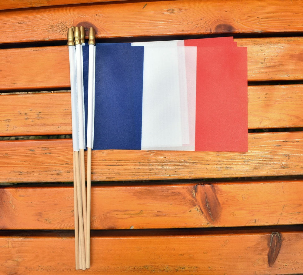 Ckexin Mini French Flag set for outdoor event