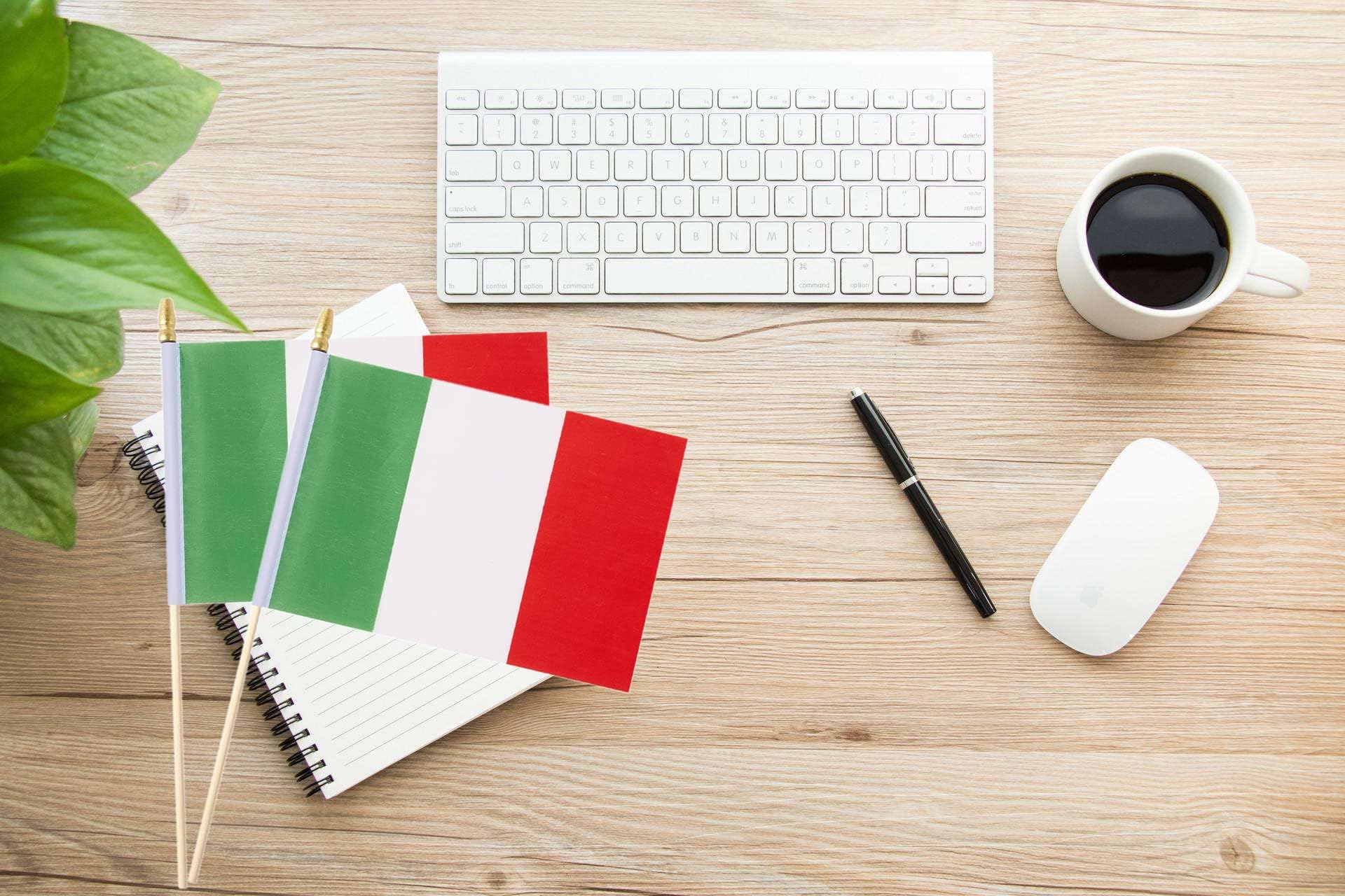 Ckexin mini Italy flags in a garden setting