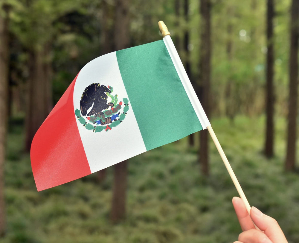 Ckexin Mini Mexican Flag on stick with antique gold tip